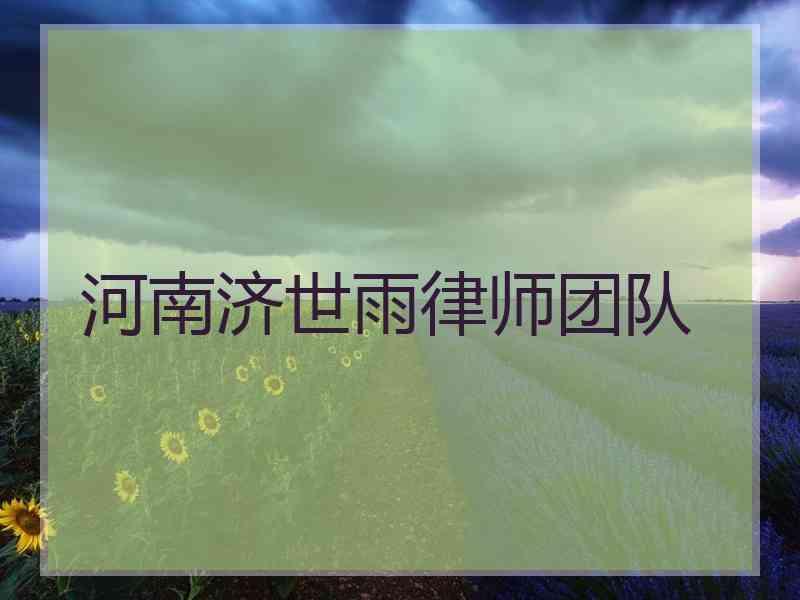 河南济世雨律师团队