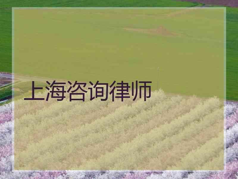 上海咨询律师
