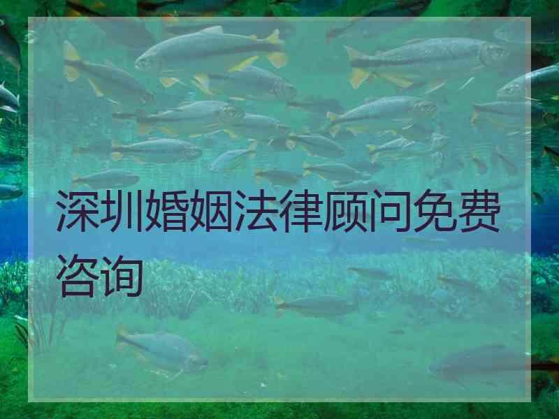 深圳婚姻法律顾问免费咨询