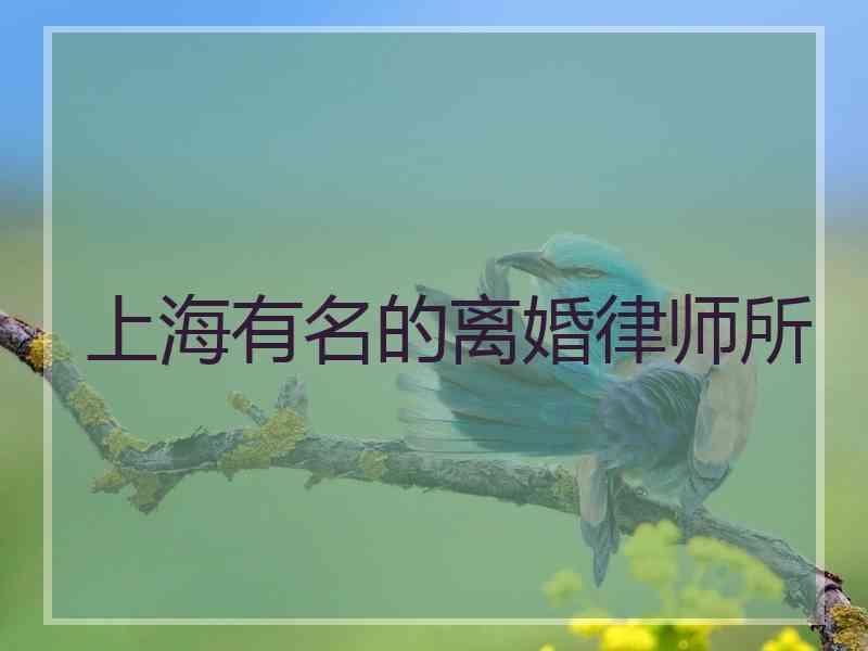 上海有名的离婚律师所