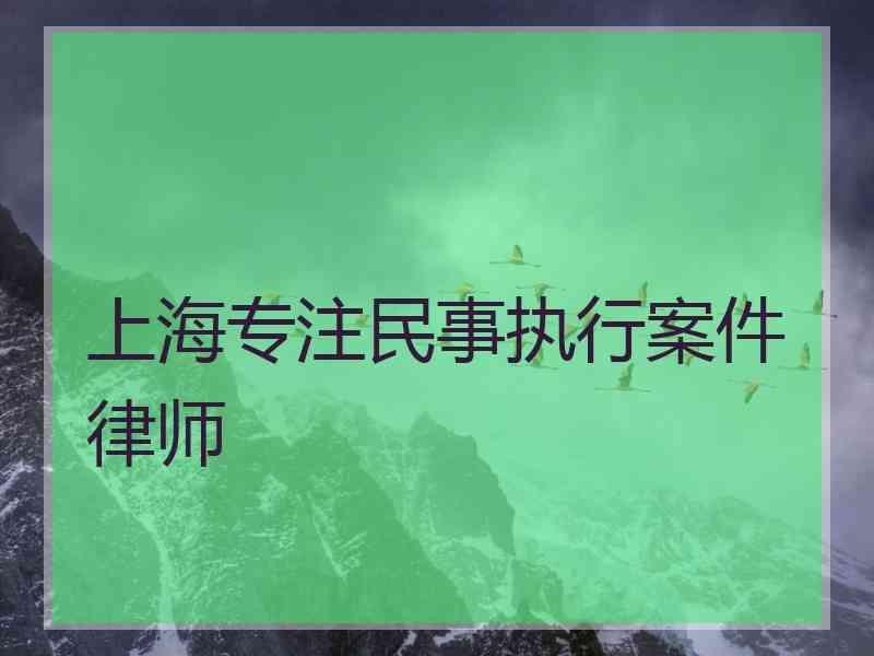 上海专注民事执行案件律师