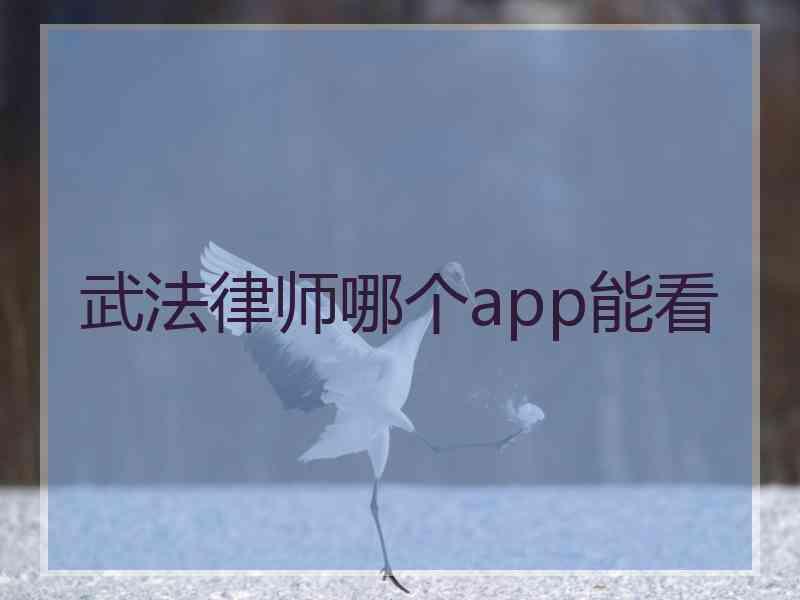 武法律师哪个app能看