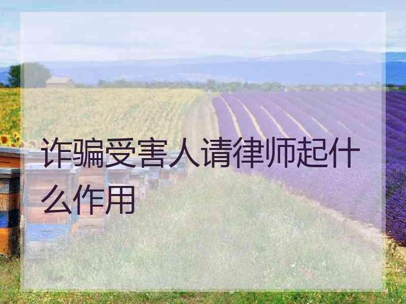 诈骗受害人请律师起什么作用