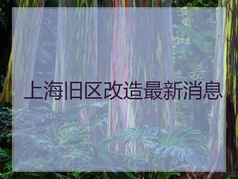 上海旧区改造最新消息