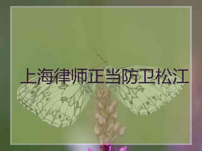 上海律师正当防卫松江