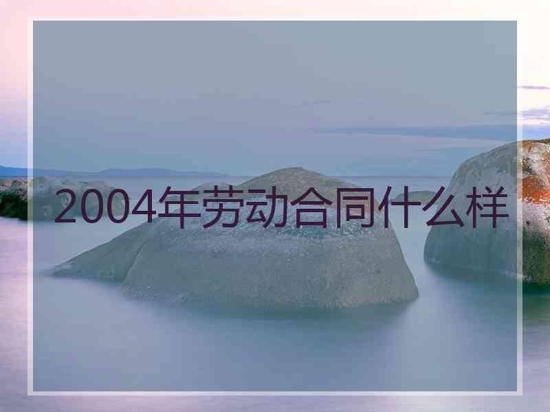 2004年劳动合同什么样