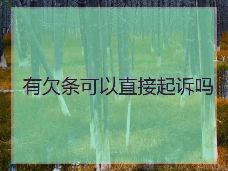有欠条可以直接起诉吗
