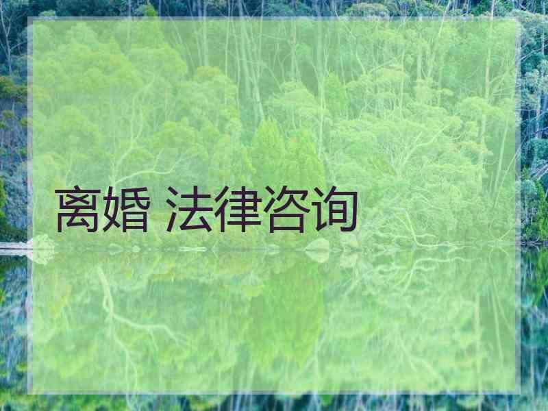 离婚 法律咨询