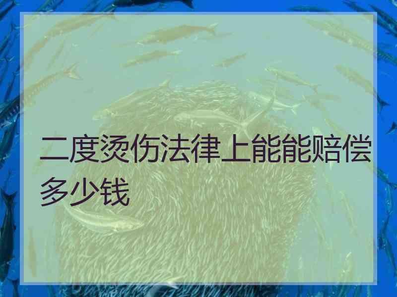 二度烫伤法律上能能赔偿多少钱