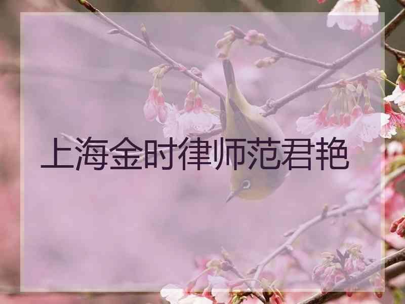 上海金时律师范君艳