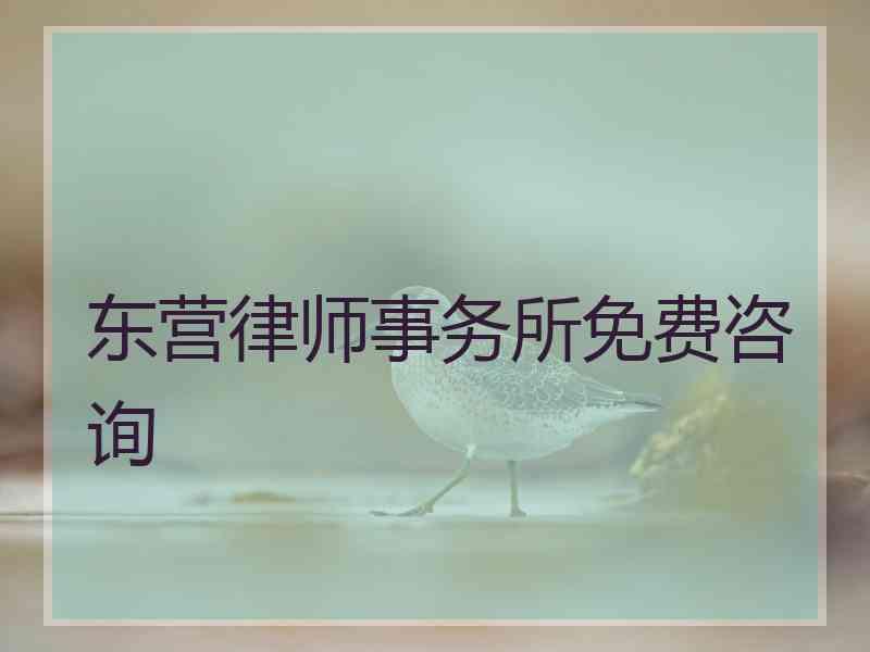 东营律师事务所免费咨询