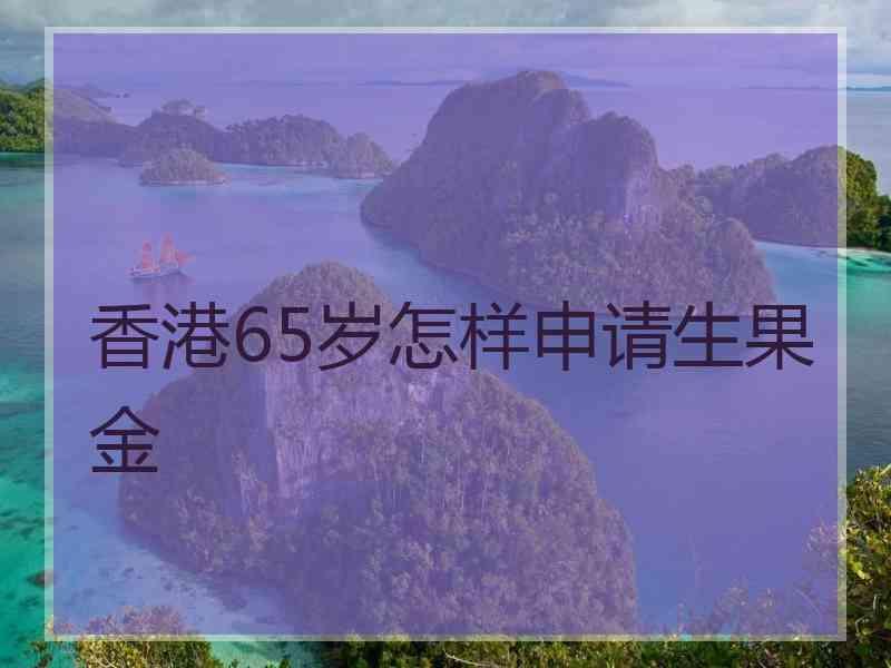 香港65岁怎样申请生果金