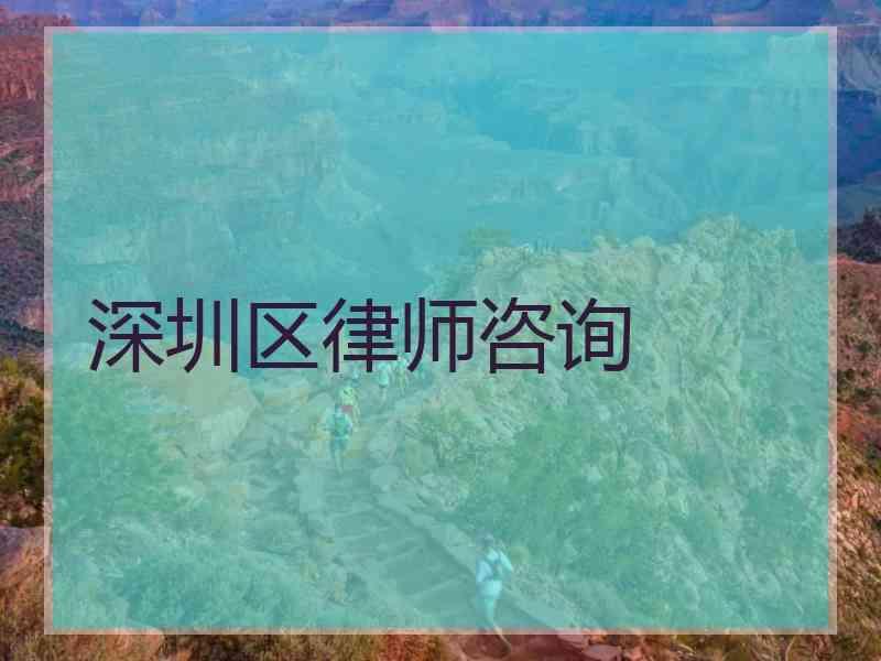 深圳区律师咨询