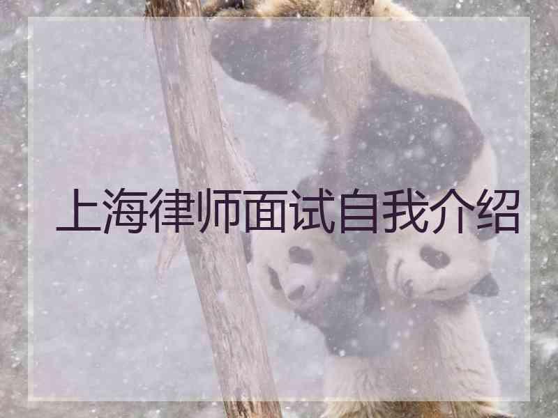 上海律师面试自我介绍