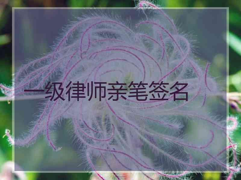 一级律师亲笔签名