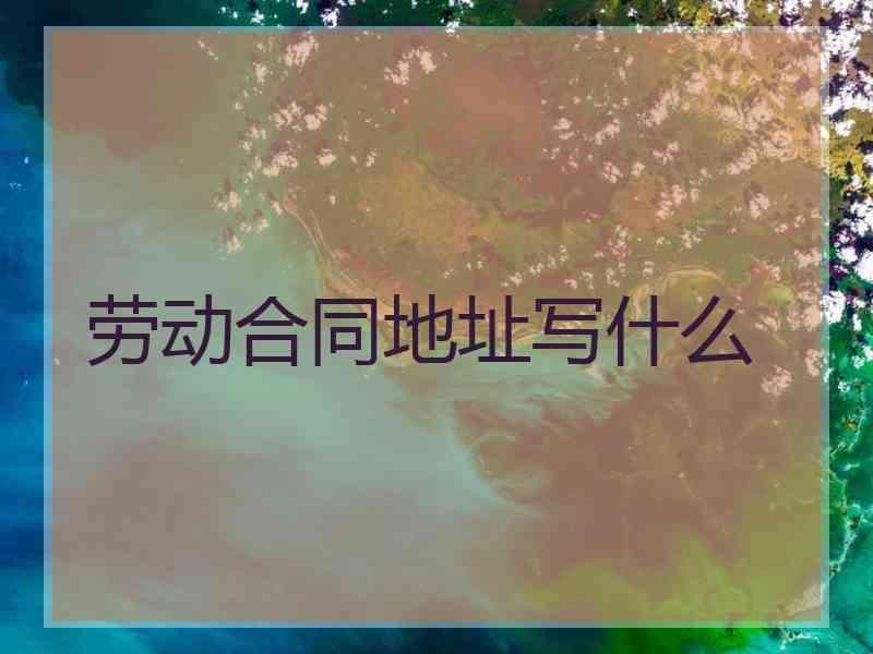 劳动合同地址写什么