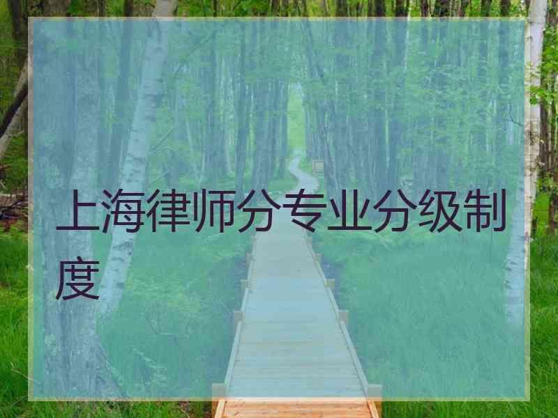 上海律师分专业分级制度