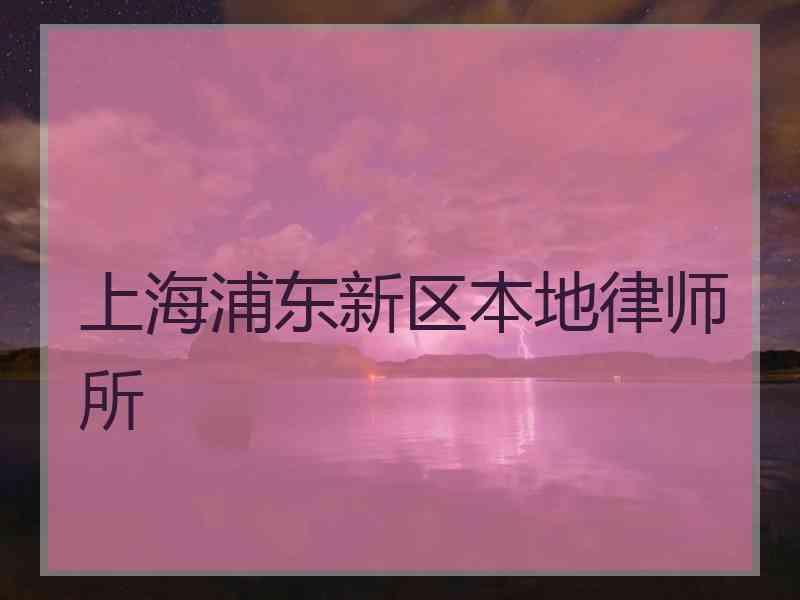 上海浦东新区本地律师所