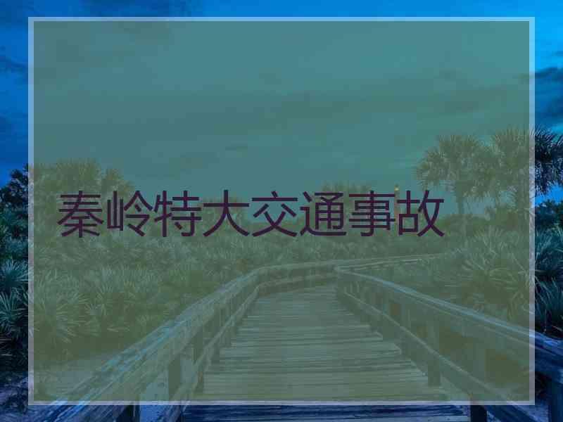 秦岭特大交通事故