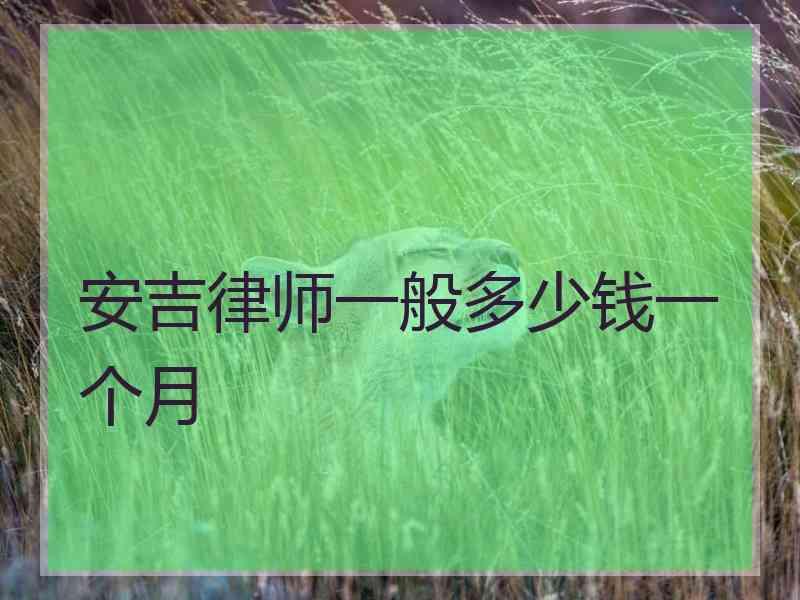 安吉律师一般多少钱一个月