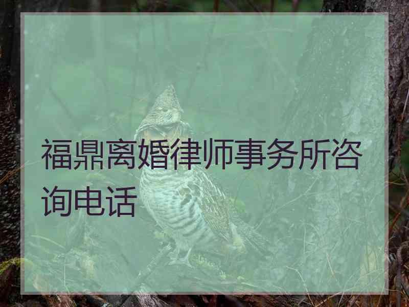 福鼎离婚律师事务所咨询电话