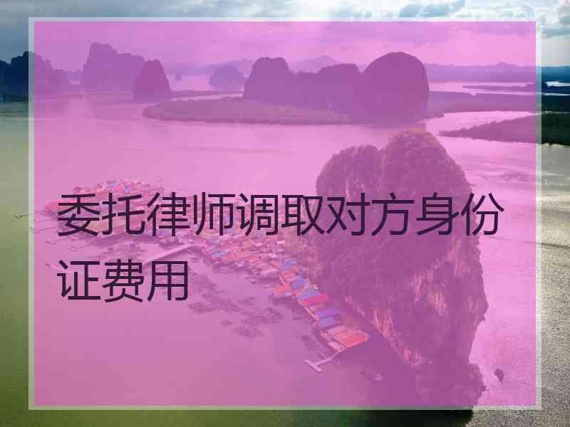 委托律师调取对方身份证费用