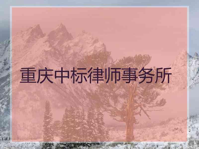 重庆中标律师事务所