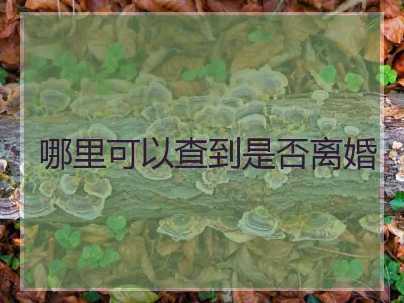 哪里可以查到是否离婚