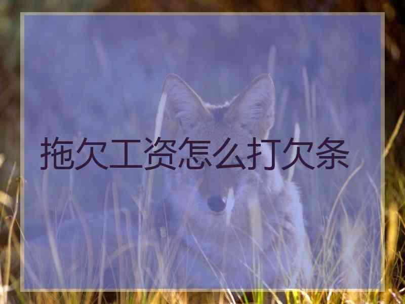 拖欠工资怎么打欠条