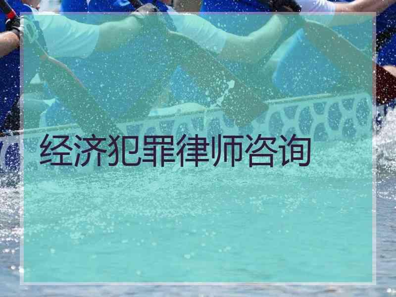 经济犯罪律师咨询