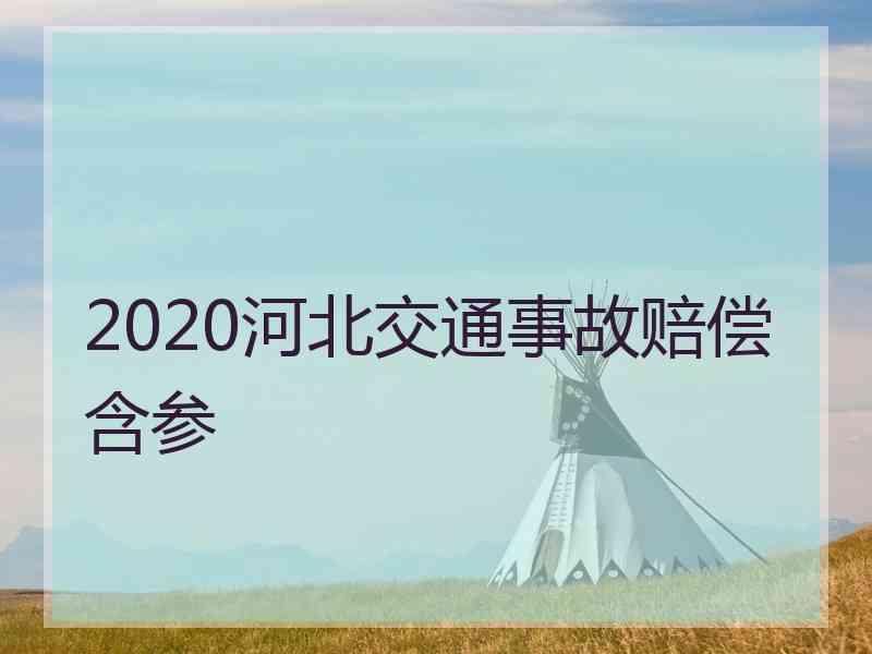 2020河北交通事故赔偿含参