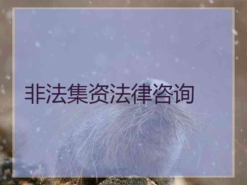 非法集资法律咨询