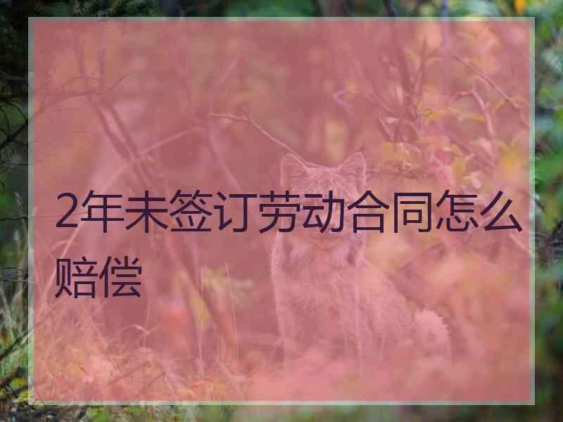 2年未签订劳动合同怎么赔偿