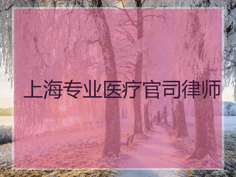 上海专业医疗官司律师