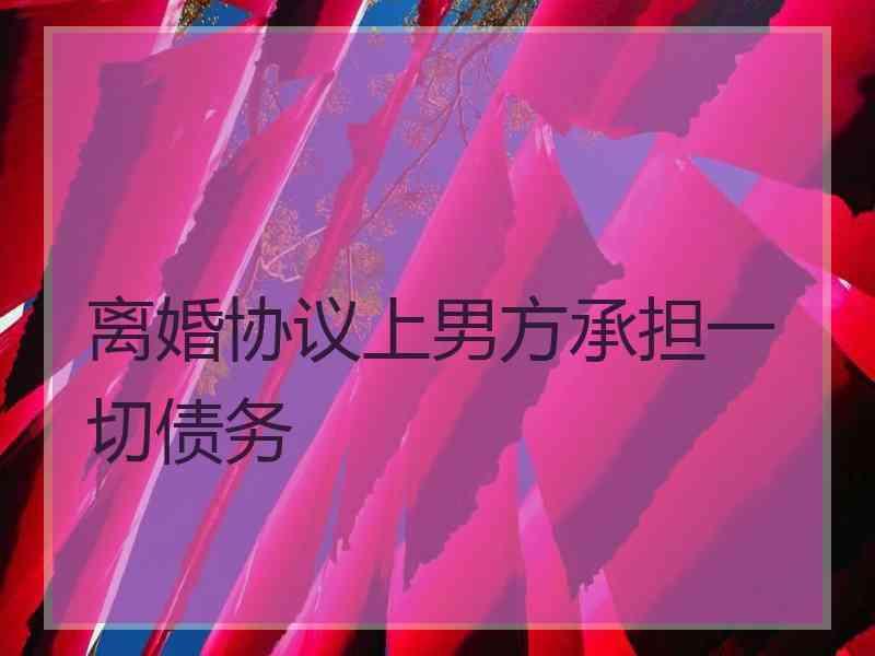 离婚协议上男方承担一切债务