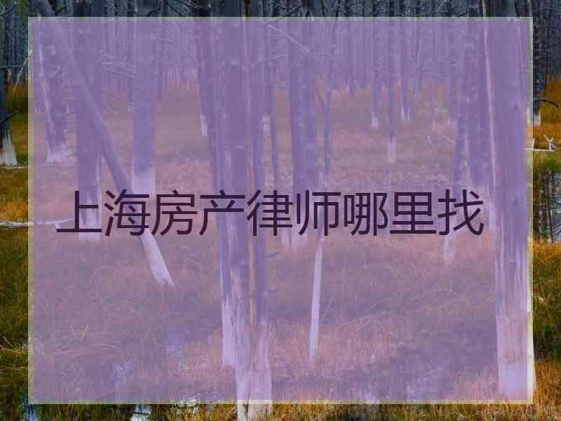 上海房产律师哪里找