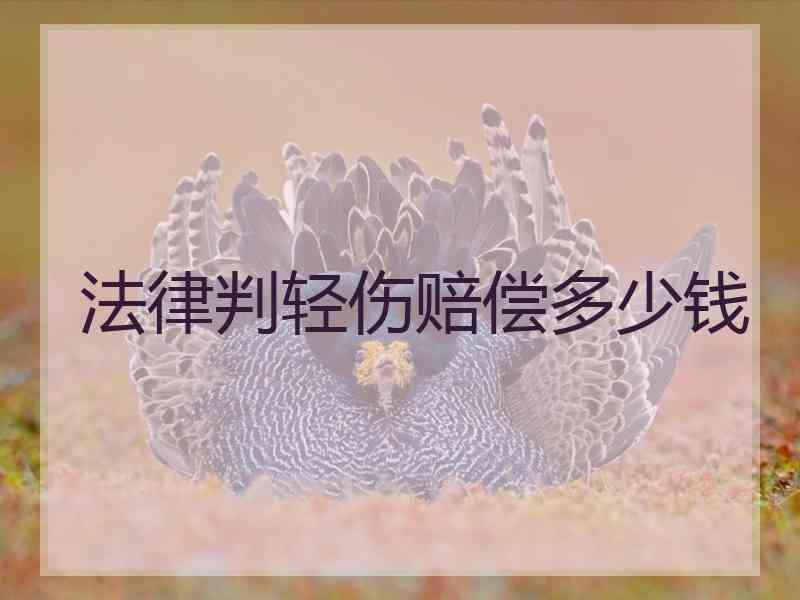 法律判轻伤赔偿多少钱