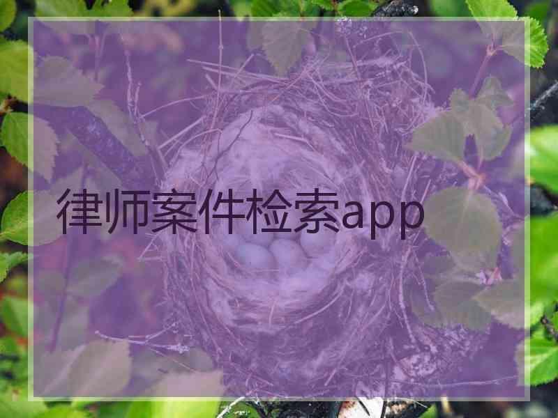 律师案件检索app