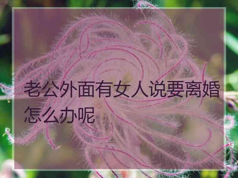 老公外面有女人说要离婚怎么办呢