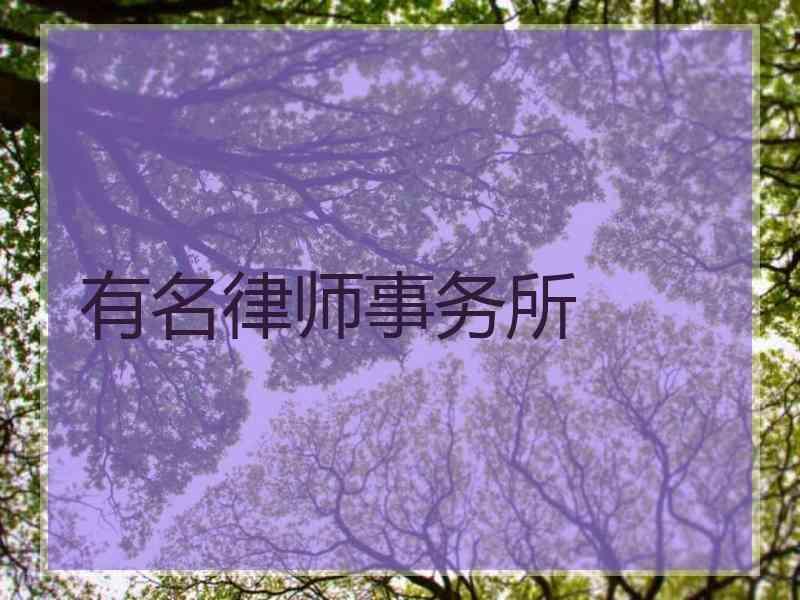 有名律师事务所