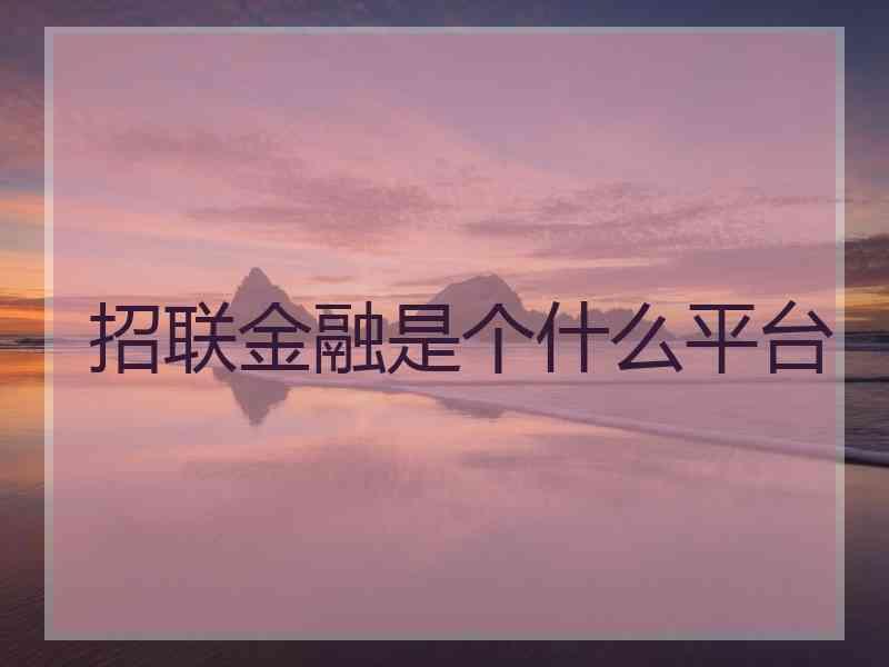 招联金融是个什么平台