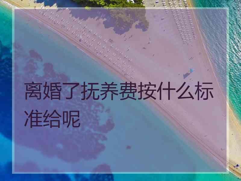 离婚了抚养费按什么标准给呢