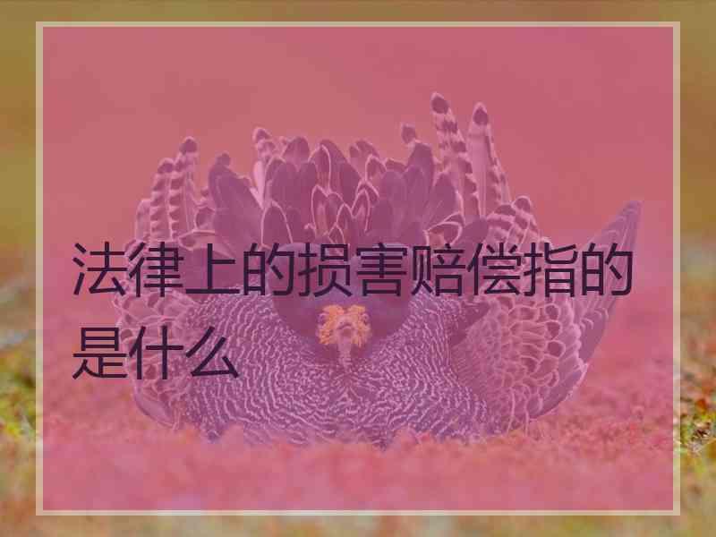 法律上的损害赔偿指的是什么