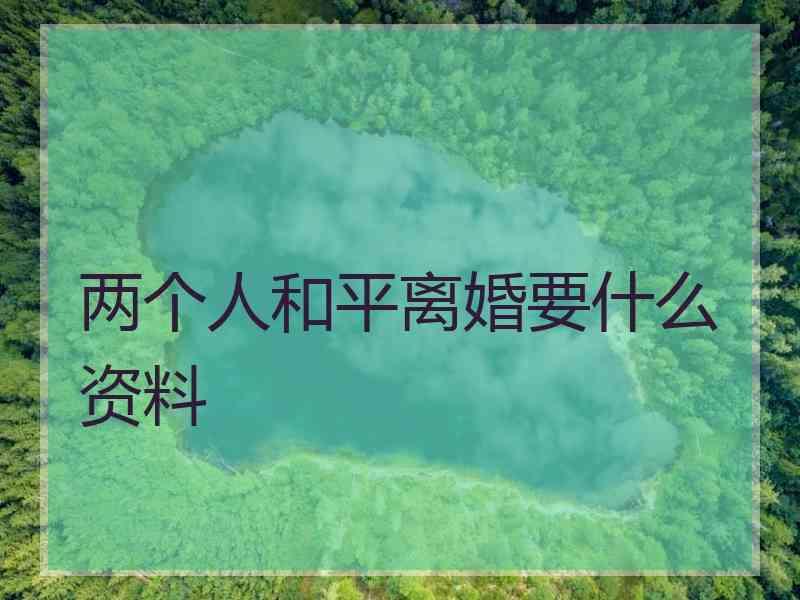 两个人和平离婚要什么资料