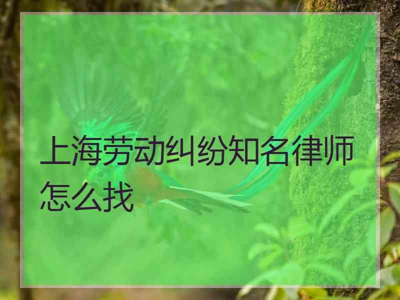 上海劳动纠纷知名律师怎么找