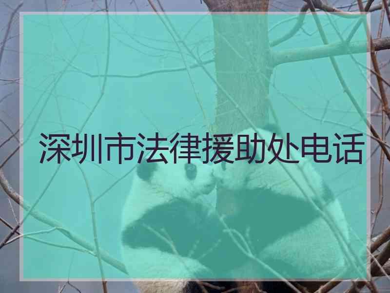 深圳市法律援助处电话