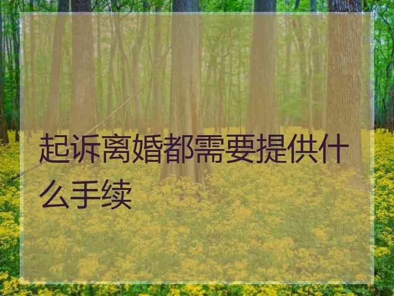 起诉离婚都需要提供什么手续