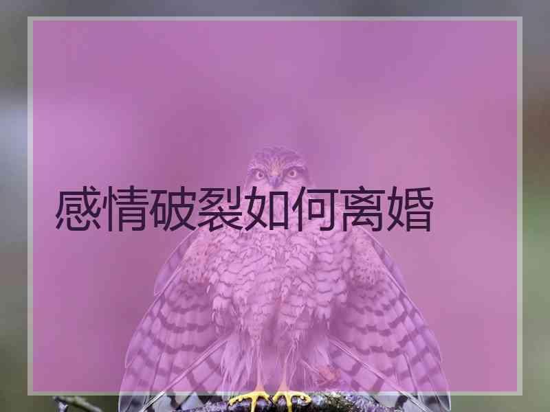 感情破裂如何离婚