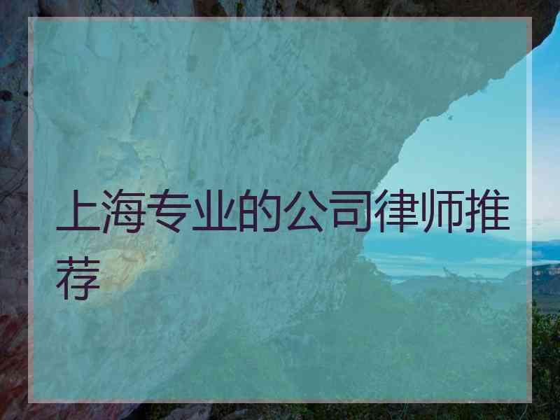 上海专业的公司律师推荐