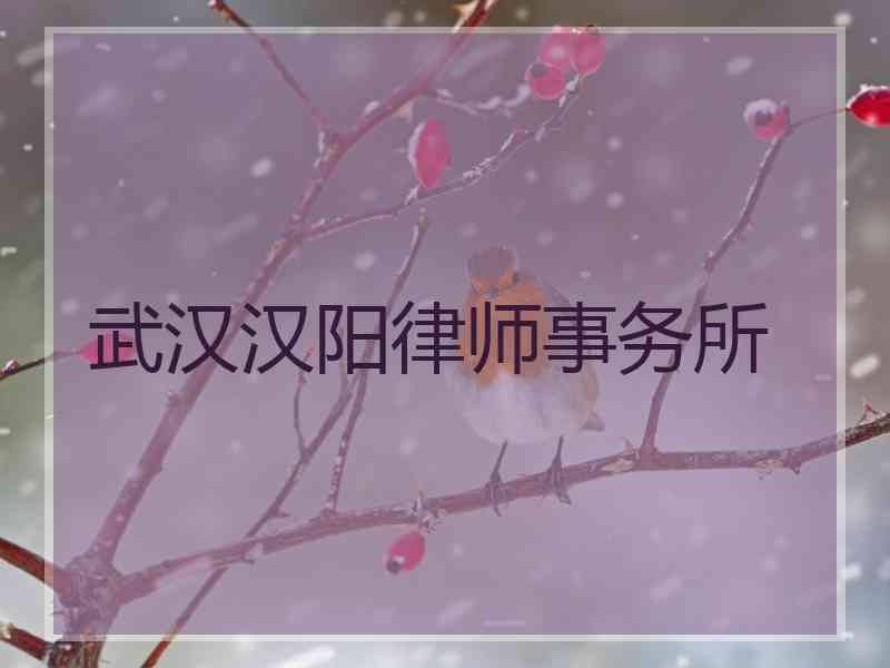 武汉汉阳律师事务所